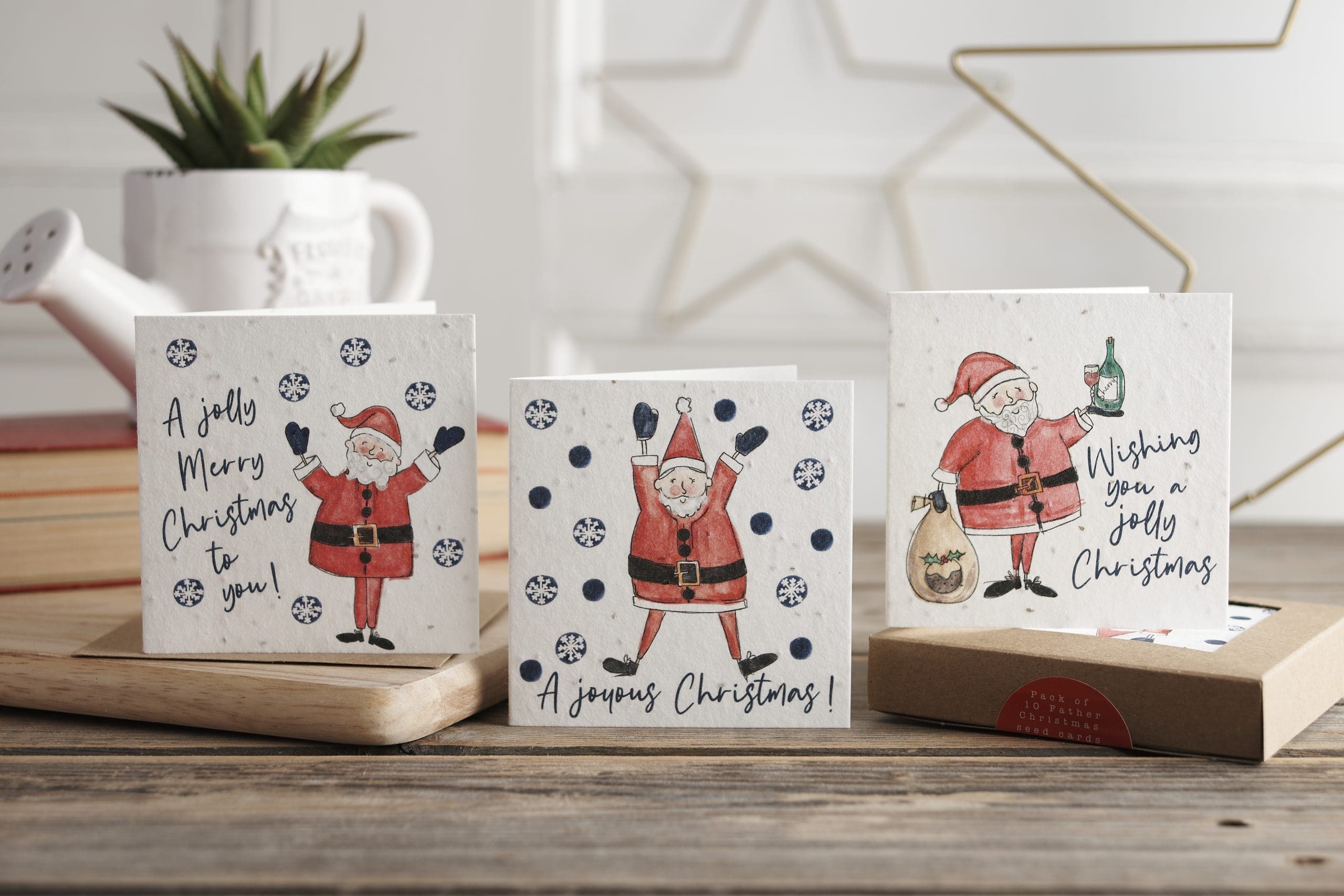 Pack of 10 Father Christmas cards - Eco friendly greetings cards ...